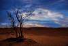© Alireza Vaezi _ Deserts (1)