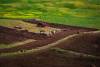 © Alireza Vaezi _ Landscapes (4)