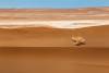 © Alireza Vaezi _ Deserts (9)