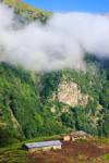 © Alireza Vaezi _ Jungles (4)