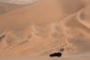 © Alireza Vaezi _ Deserts (16)